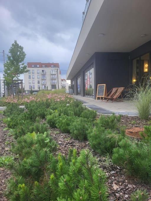 Olive Tree Apartment - Klimatyzacja - Air Conditioning-Self-Check-In Катовице Экстерьер фото